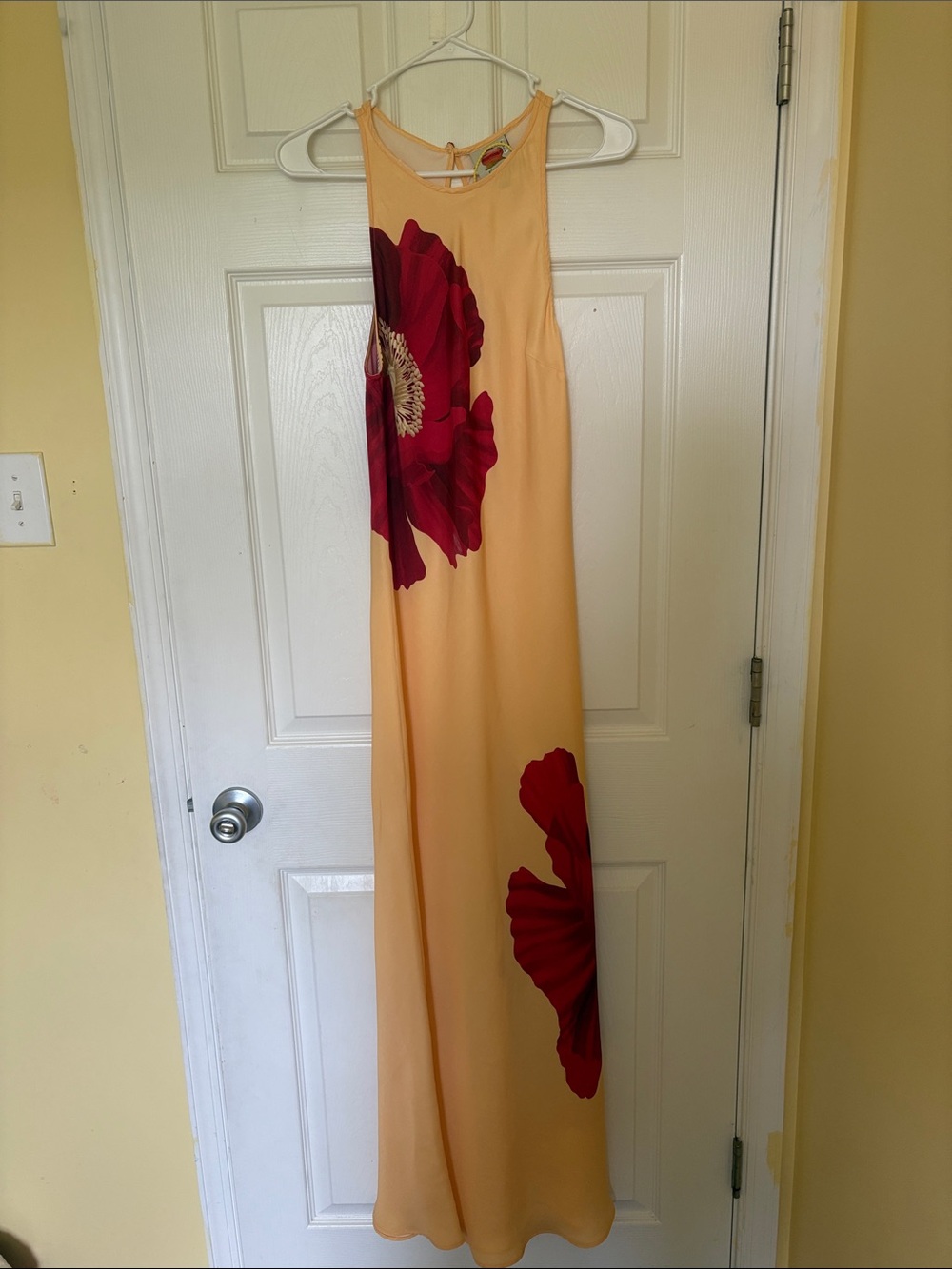 FARM Rio Light Yellow Poppy Flowers Sleeveless Maxi Dress - Picture 2 of 13